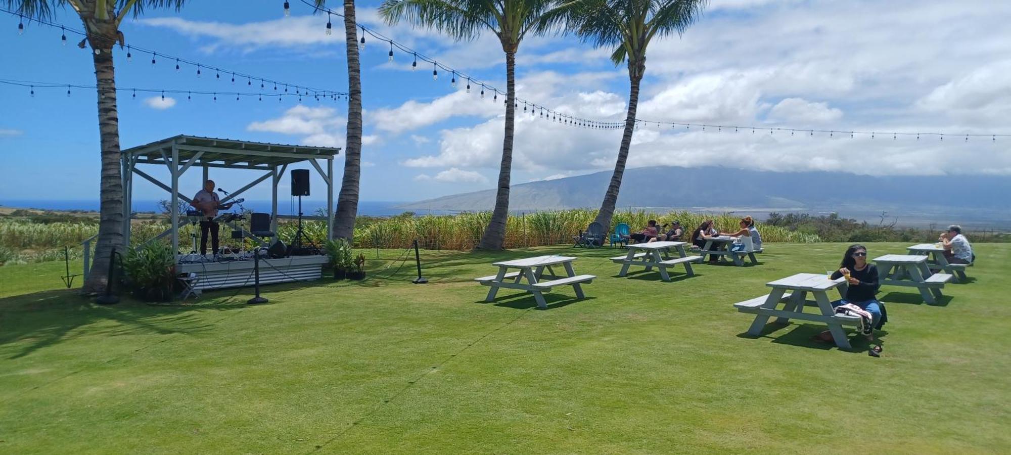 Campcar Maui Jeeps Suvs Hybrid Camper Van Rentals With Equipment And Travel Advice Kahului Eksteriør bilde